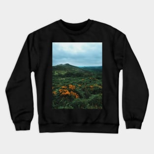 Dartmoor Dawn Crewneck Sweatshirt